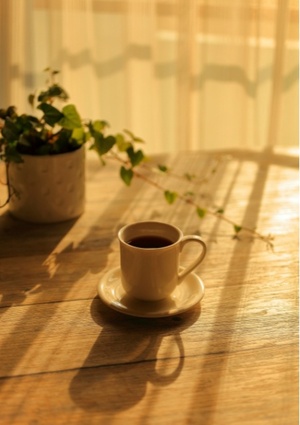 春秋館　＜一話完結型 連続小説＞