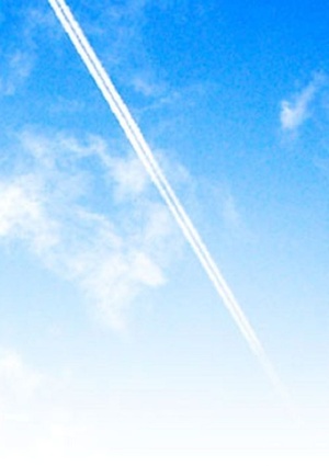 それが選ばれた理由