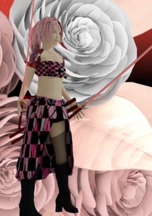 天武の騎士・アウトライン