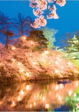 応援ユーザー 目覚めたら 源氏物語 の中の人 詩海猫 書いて読んで楽しめる 次世代web小説投稿サイト Novelism ノベリズム