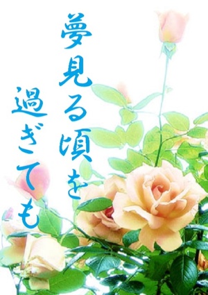 夢見る頃を過ぎても