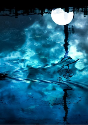 スターライドアイドル