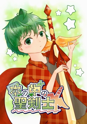 本の中の聖剣士