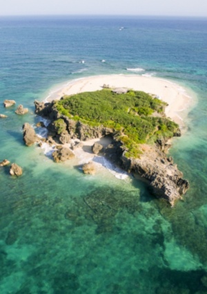 無人島に探索しに来たら有人島だった